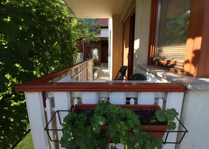 Apartma Buon דירה *